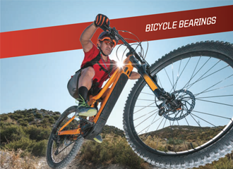 Bicycle Bearings