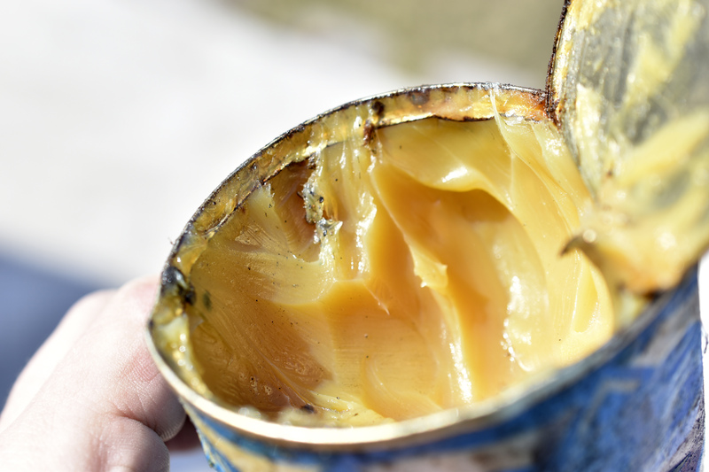 lubricate electric bicycle bearings