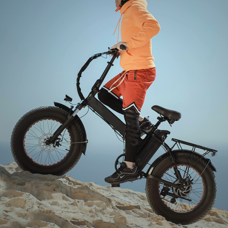 electric mountain bike bearings