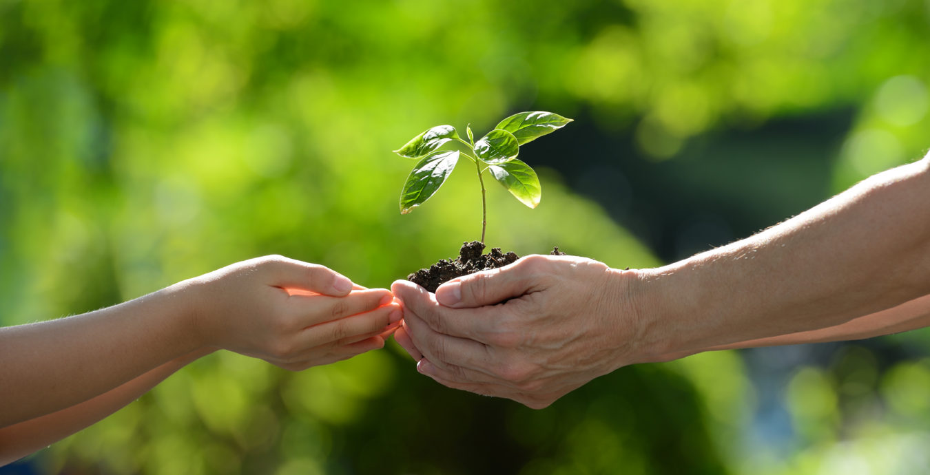 ISK Bearings and Sustainability